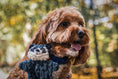 Load image into Gallery viewer, Woodland HuggleFlatties™ Assorted Durable Plush Dog Toys (3pk) - image 12