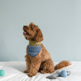 Load image into Gallery viewer, Nooee Pet Wool Neck Warmer