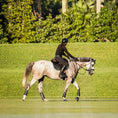 Load image into Gallery viewer, B&W - Black Saddle Pad
