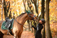 Load image into Gallery viewer, Southlake Paws Pine Grove Saddle Pad on a horse in an autumn forest, with a rider in a helmet interacting joyfully.