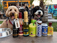 Load image into Gallery viewer, Yappy Hour Hydration Bundle for Dogs