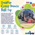 Load image into Gallery viewer, Crazy Bounce Ultra Durable Rubber Chew & Retrieving Toy