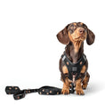 Load image into Gallery viewer, DOGISTRY 3-in-1 City Dog Leash - Rockstar