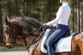 Load image into Gallery viewer, 3-in-1 Training Breastplate