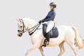 Load image into Gallery viewer, 3-in-1 Training Breastplate