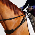 Load image into Gallery viewer, 3-in-1 Training Breastplate