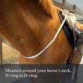 Load image into Gallery viewer, 3-in-1 Training Breastplate