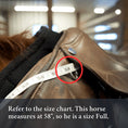 Load image into Gallery viewer, 3-in-1 Training Breastplate