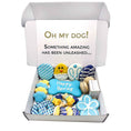 Load image into Gallery viewer, Spring Themed Dog Treats Gift Box