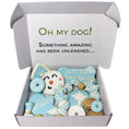 Load image into Gallery viewer, Winter Themed Dog Treats Gift Box