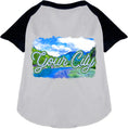 Load image into Gallery viewer, Custom Summer Pet Raglan Shirts