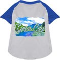 Load image into Gallery viewer, Custom Summer Pet Raglan Shirts