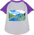 Load image into Gallery viewer, Custom Summer Pet Raglan Shirts