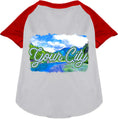 Load image into Gallery viewer, Custom Summer Pet Raglan Shirts