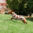 Load image into Gallery viewer, Red Hearts Dog Sweater