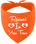Load image into Gallery viewer, Custom Rescued In Pet Bandana