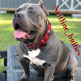Load image into Gallery viewer, The "Eros" collar 2.5 inch wide RED