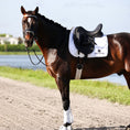 Load image into Gallery viewer, Southlake Paws B&W White Saddle Pad Set on a brown horse, featuring a sleek design and matching leg wraps by a waterway.