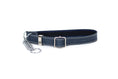 Load image into Gallery viewer, Martingale Blue Jeans Leather Dog Collar