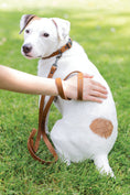 Load image into Gallery viewer, Sport Style Earth Brown Leather Leash - image 2