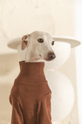 Load image into Gallery viewer, The Heirloom Turtleneck