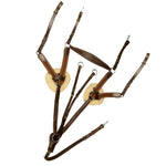 ExionPro 5 Point Breastplate with Sheepskin Padding - Matching Elastic