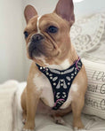 Load image into Gallery viewer, The ''Ariel'' harness Small to Medium Size