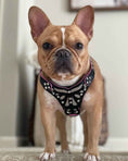 Load image into Gallery viewer, The ''Ariel'' harness Small to Medium Size