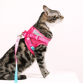 Load image into Gallery viewer, Stasia Cat Harness & Leash Set
