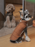 Load image into Gallery viewer, Reversible Dog Vest Jacket - Orange Grey