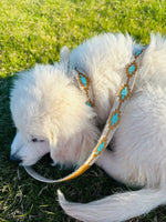 Dog Leashe Turquoise and Rawhide