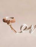 Load image into Gallery viewer, Lilco Braided-Leash | Moonbeam