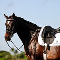 Load image into Gallery viewer, Black and white browband on a horse with a braided mane, wearing a saddle pad against a clear blue sky.