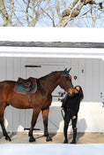 Load image into Gallery viewer, Horse Bonnet | Green- Brown & Red