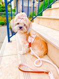 Load image into Gallery viewer, HARNESS - BELLA ROSE