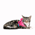 Load image into Gallery viewer, Stasia Cat Harness & Leash Set