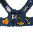 Load image into Gallery viewer, Fab Four Harness