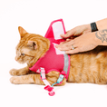 Load image into Gallery viewer, Stasia Cat Harness & Leash Set