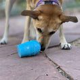 Load image into Gallery viewer, Ice Cream Cone Durable PUP-X Rubber eDispenser Chew Toy and Treat Dispenser