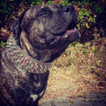 Load image into Gallery viewer, 'Chameleon'' LIMITED big dog collar