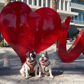 Load image into Gallery viewer, Succa For You Reversible Harness - Southlake Paws
