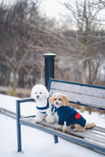 Load image into Gallery viewer, Heart to Heart Button-Up Cardigan Sweater