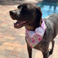 Load image into Gallery viewer, Rose Bandana Dog Collar With Bow - Southlake Paws