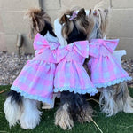 Gingham Picnic Dress