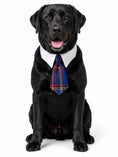 Load image into Gallery viewer, The Fall Tie Collection Gift Box