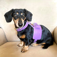 Load image into Gallery viewer, HARNESS - LAVISH LAVENDER