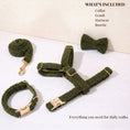 Load image into Gallery viewer, Cozy Olive Teddy Set