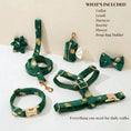 Load image into Gallery viewer, Green Feather Velvet Set