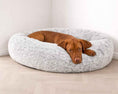 Load image into Gallery viewer, Bowsers Icelandic Shag Orthopedic Dog Bed in frost-white