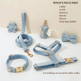 Load image into Gallery viewer, Light Blue Velvet Set